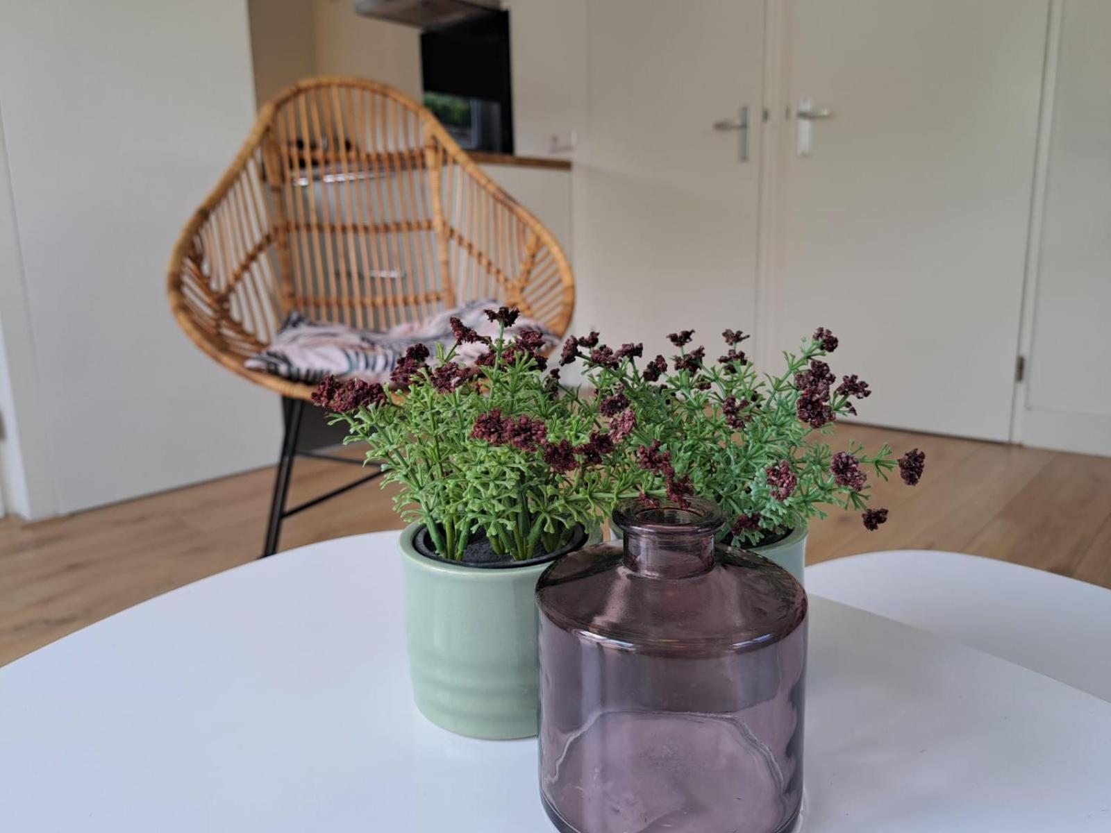 Mooie Entree Zwembad In De Zomer Vp009 Vakantiehuis Heinkenszand