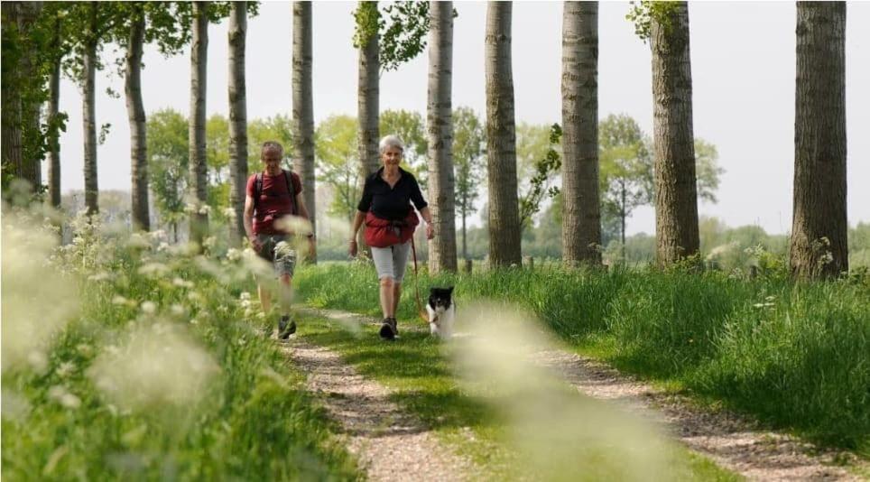 Mooie Entree Zwembad In De Zomer Vp009 Vakantiehuis Heinkenszand